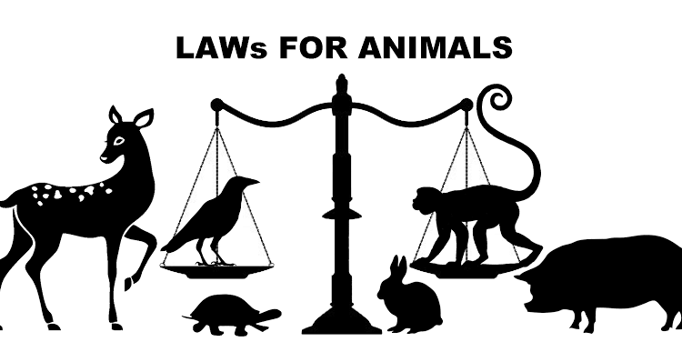 Animal Laws in India that Every Citizen should KnowSource:Unknown