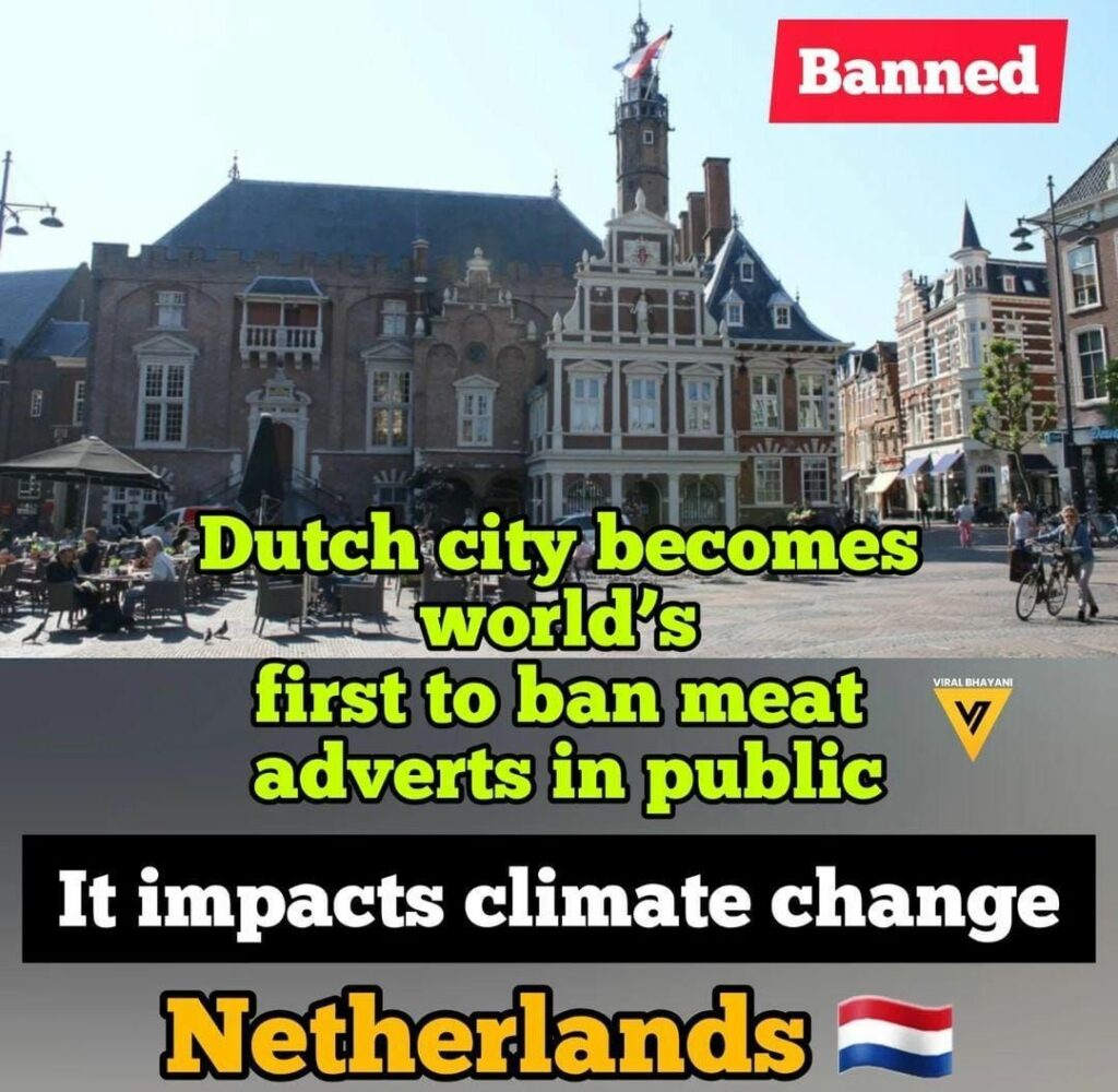Ads for climate-damaging meat set to be banned in this Dutch city