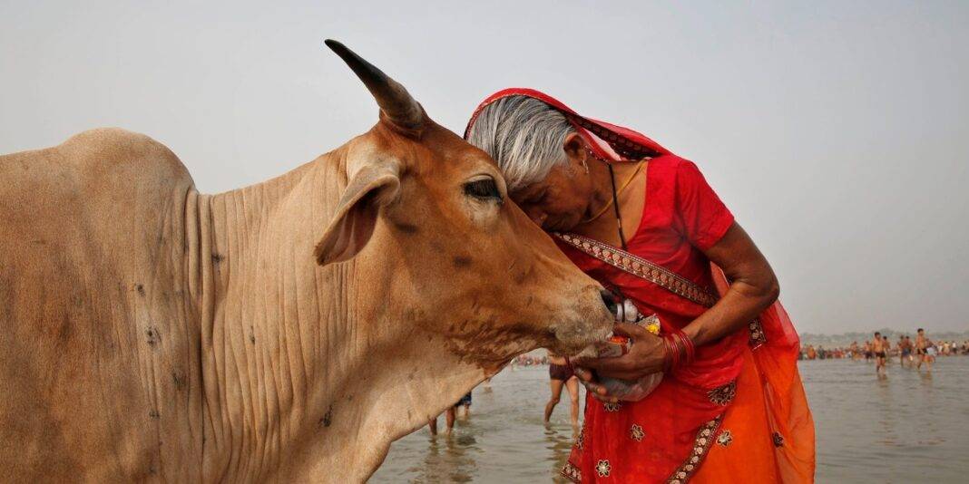 Cow Worship Across Ancient Civilizations