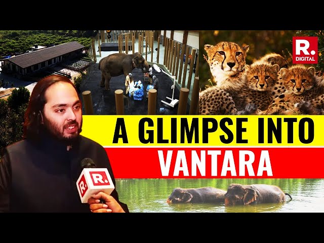 All about Vantara, the 3000-acre animal shelter launched by Anant Ambani in Jamnagar