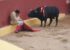 Emotional story of How Bull Fighter Álvaro Munero became vegetarian and stopped fighting bullfights.