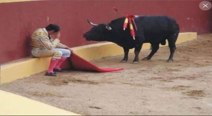 Emotional story of How Bull Fighter Álvaro Munero became vegetarian and stopped fighting bullfights.