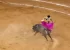 Bullfighting Has Returned To Mexico City – But It Could Still Be Banned