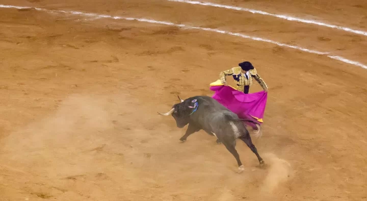 Bullfighting Has Returned To Mexico City – But It Could Still Be Banned