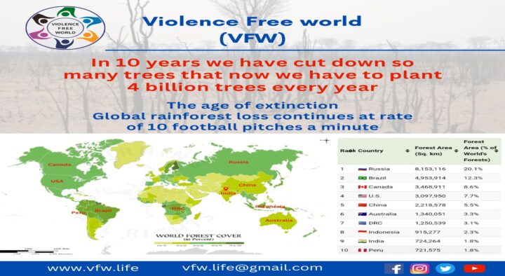 Global rainforest loss continues at rate of 10 football pitches a minute